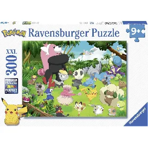 Afbeelding van Ravensburger puzzel PokÃ©mon - legpuzzel - 300 stukjes