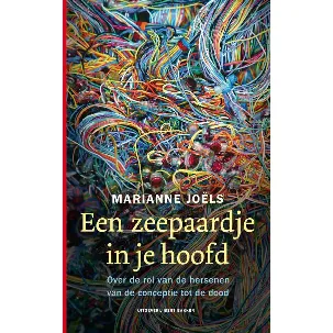 Afbeelding van Een zeepaardje in je hoofd