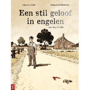 Afbeelding van Een stil geloof in engelen