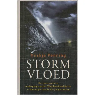 Afbeelding van Stormvloed