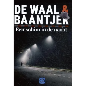 Afbeelding van Een schim in de nacht