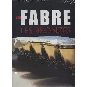 Afbeelding van Bronzes, les