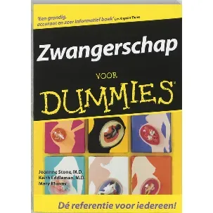 Afbeelding van Zwangerschap Voor Dummies