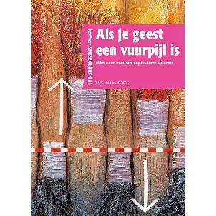 Afbeelding van Als Je Geest Een Vuurpijl Is