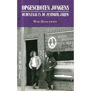 Afbeelding van OPGESCHOTEN JONGENS - Oldenzaal in de zestiger jaren