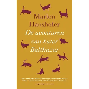 Afbeelding van De avonturen van kater Balthazar