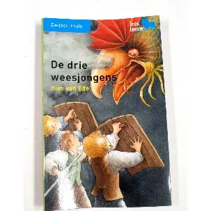 Afbeelding van De drie weesjongens