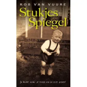 Afbeelding van Stukjes spiegel