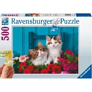 Afbeelding van Ravensburger puzzel Katjes en rozen - Legpuzzel - 500 stukjes