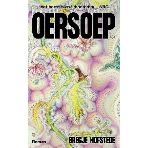 Afbeelding van Oersoep