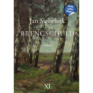 Afbeelding van Brengschuld