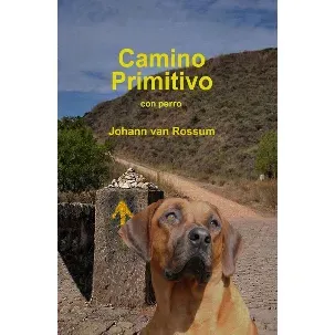 Afbeelding van Camino Primitivo