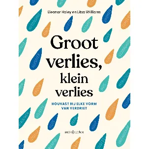 Afbeelding van Groot verlies, klein verlies