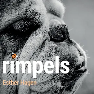 Afbeelding van Rimpels