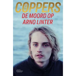 Afbeelding van De moord op Arno Linter