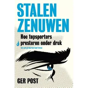 Afbeelding van Stalen zenuwen