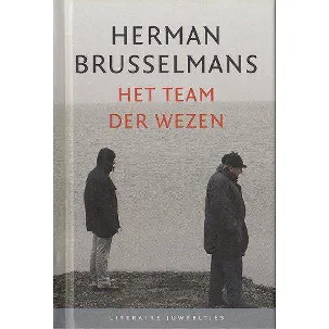 Afbeelding van Team der wezen - Herman Brusselmans