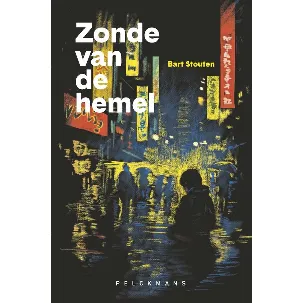 Afbeelding van Zonde van de hemel