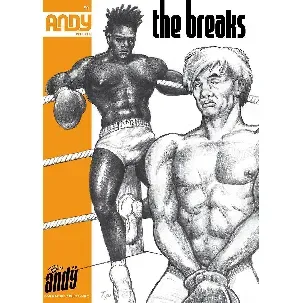 Afbeelding van Andy 9 - The Breaks