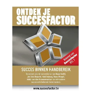 Afbeelding van Ontdek je succesfactor