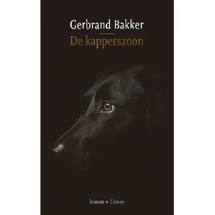 Afbeelding van De kapperszoon