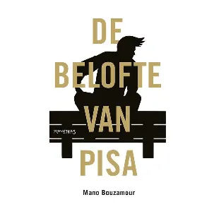 Afbeelding van De belofte van Pisa