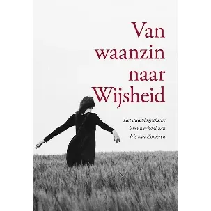 Afbeelding van Van waanzin naar Wijsheid