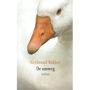 Afbeelding van De omweg