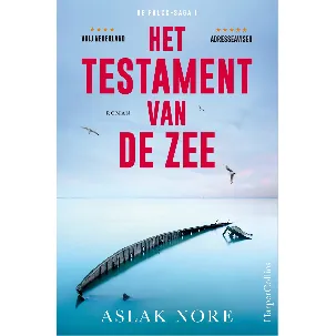 Afbeelding van De Falck-saga 1 - Het testament van de zee