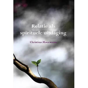 Afbeelding van Relatie als spirituele uitdaging