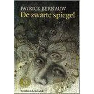 Afbeelding van De zwarte spiegel