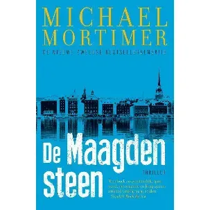 Afbeelding van De Maagdensteen-saga 1 - De maagdensteen