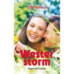 Afbeelding van Westerstorm