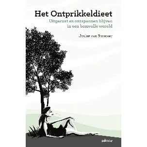 Afbeelding van Het ontprikkeldieet