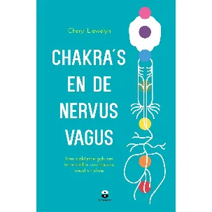 Afbeelding van Chakra's en de nervus vagus