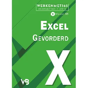 Afbeelding van Excel Gevorderd/Expert - Microsoft Office 2021 - Microsoft 365