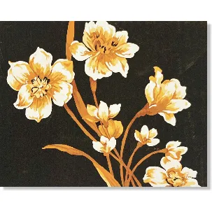 Afbeelding van Cards & Crafts Bloemen Schilderen Op Nummer met Frame 40x50cm - Painting by Numer - DIY schilder pakket