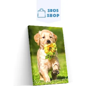 Afbeelding van SEOS Shop ® Diamond Painting Volwassenen - Diamond Painting Kinderen - Diamond Painting Pakket Volledig - Puppy met een bloem - 25x30 cm