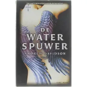 Afbeelding van De Waterspuwer