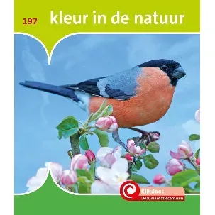 Afbeelding van De Kijkdoos - Kleur in de natuur