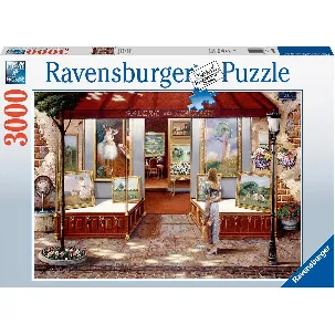 Afbeelding van Ravensburger puzzel Kunstgalerie - Legpuzzel - 3000 stukjes