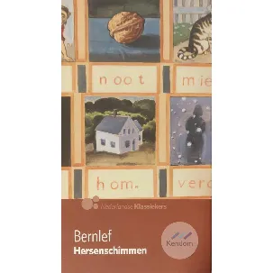 Afbeelding van Hersenschimmen - J. Bernlef