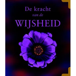 Afbeelding van De kracht van de wijsheid