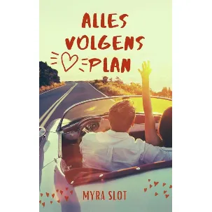 Afbeelding van Alles volgens plan