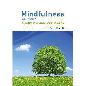 Afbeelding van Mindfulness werkboek