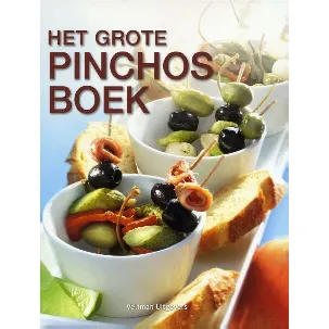 Afbeelding van Het grote pinchosboek