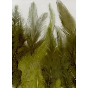 Afbeelding van Creative Feathers 8,5-15cm 15pcs forest