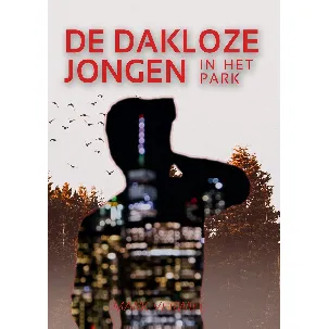 Afbeelding van De Dakloze Jongen In Het Park (Paperback)