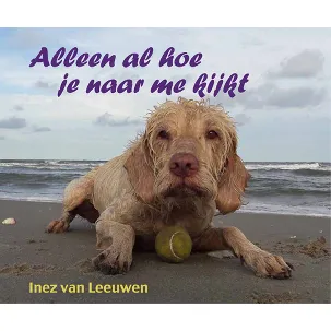 Afbeelding van Alleen al hoe je naar me kijkt