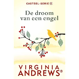 Afbeelding van Casteel 5 - De droom van een engel